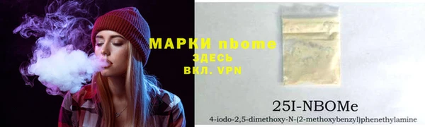 a pvp Ельня